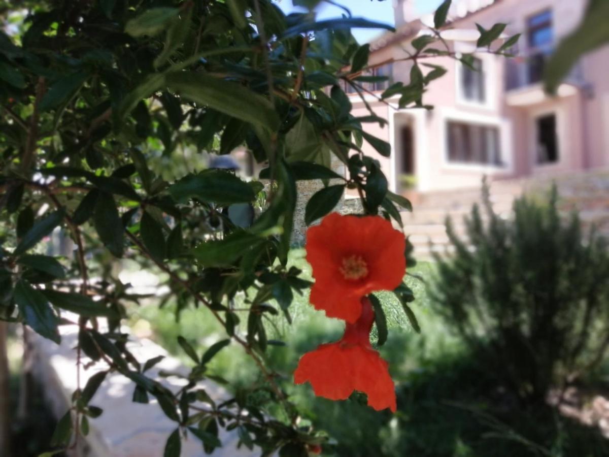 Apartments Sena Πούλα Εξωτερικό φωτογραφία